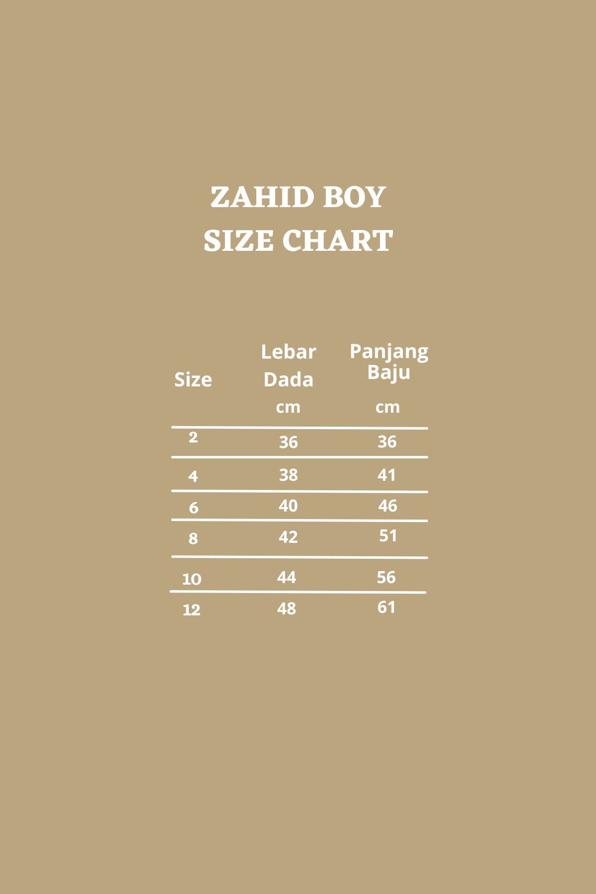 Zahid Boy